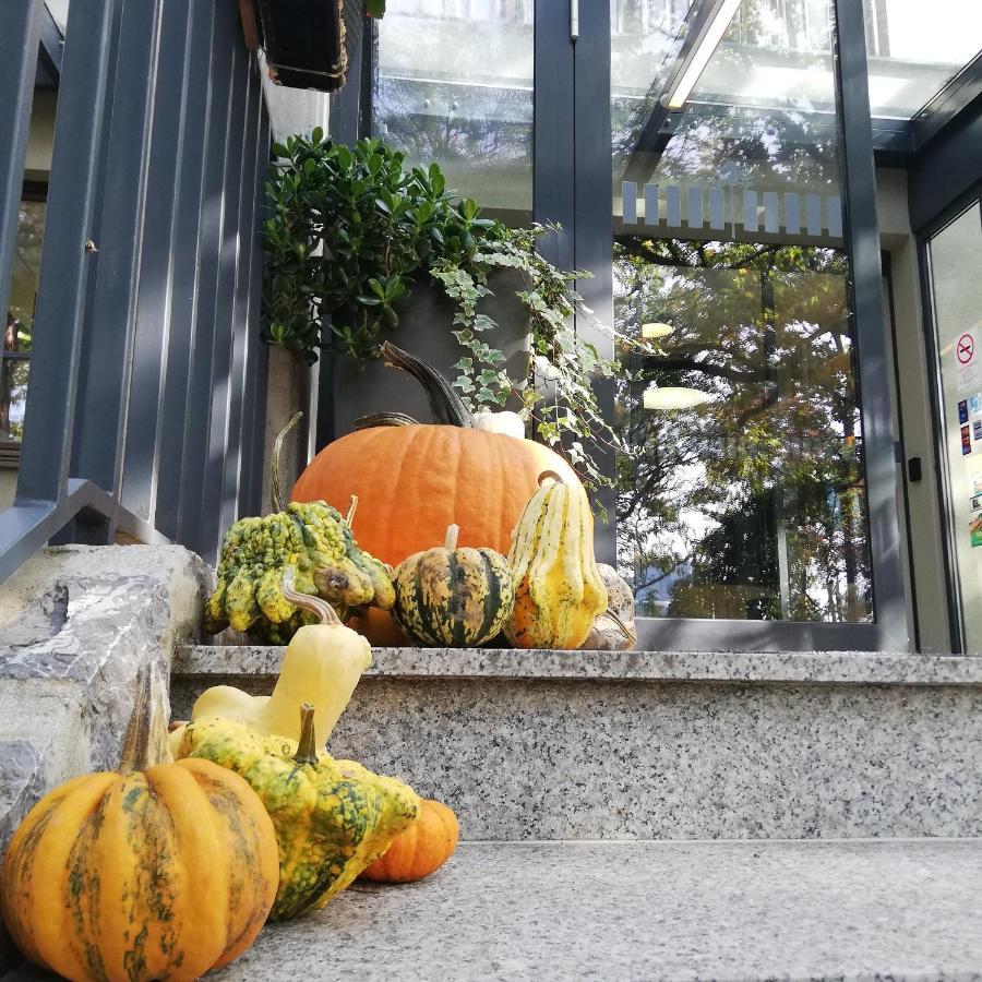 Hotel Therapia 페치 외부 사진